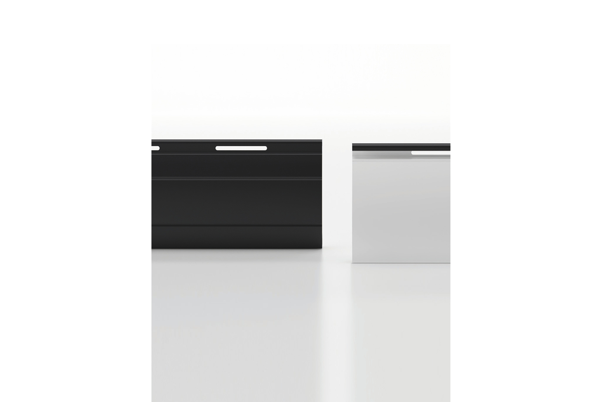 bicolor